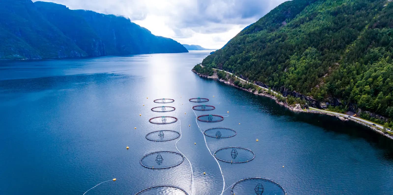 product-banner-Fishing 2