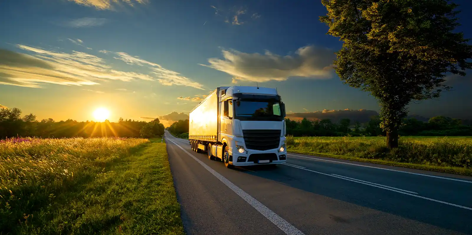 product-banner-supply chain-1