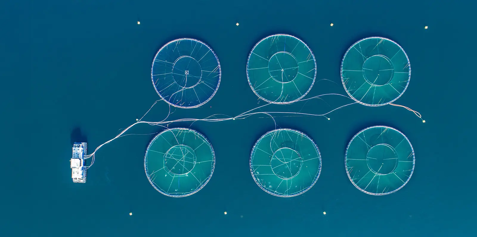 product-banner-Fishing