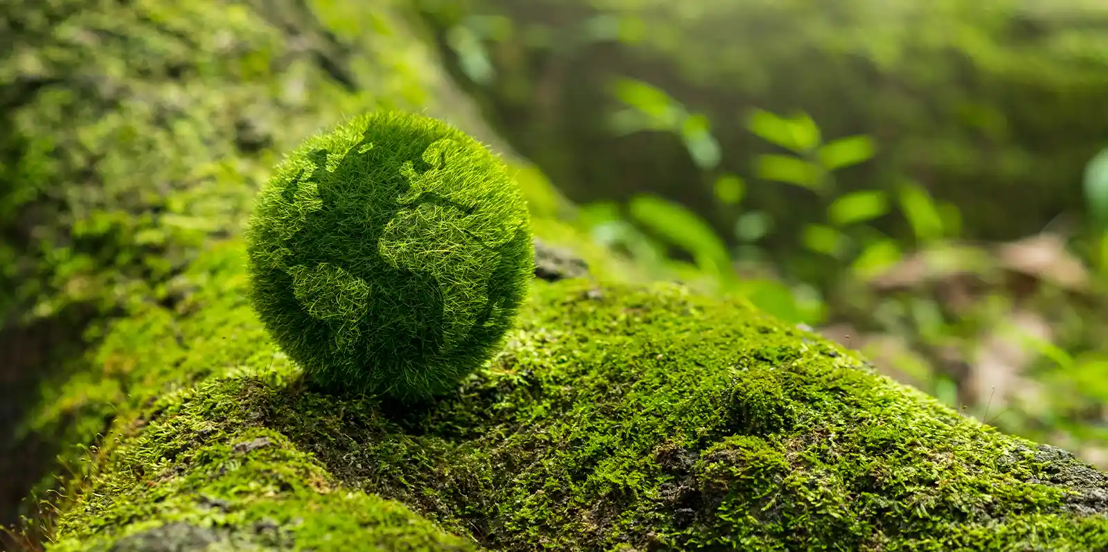 product-banner-ESG-5